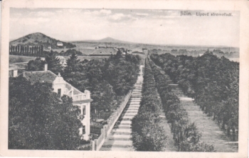 Jičín 1923 95 003 ●